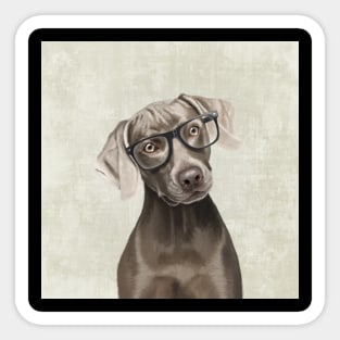 The elegant Mr. Weimaraner Sticker